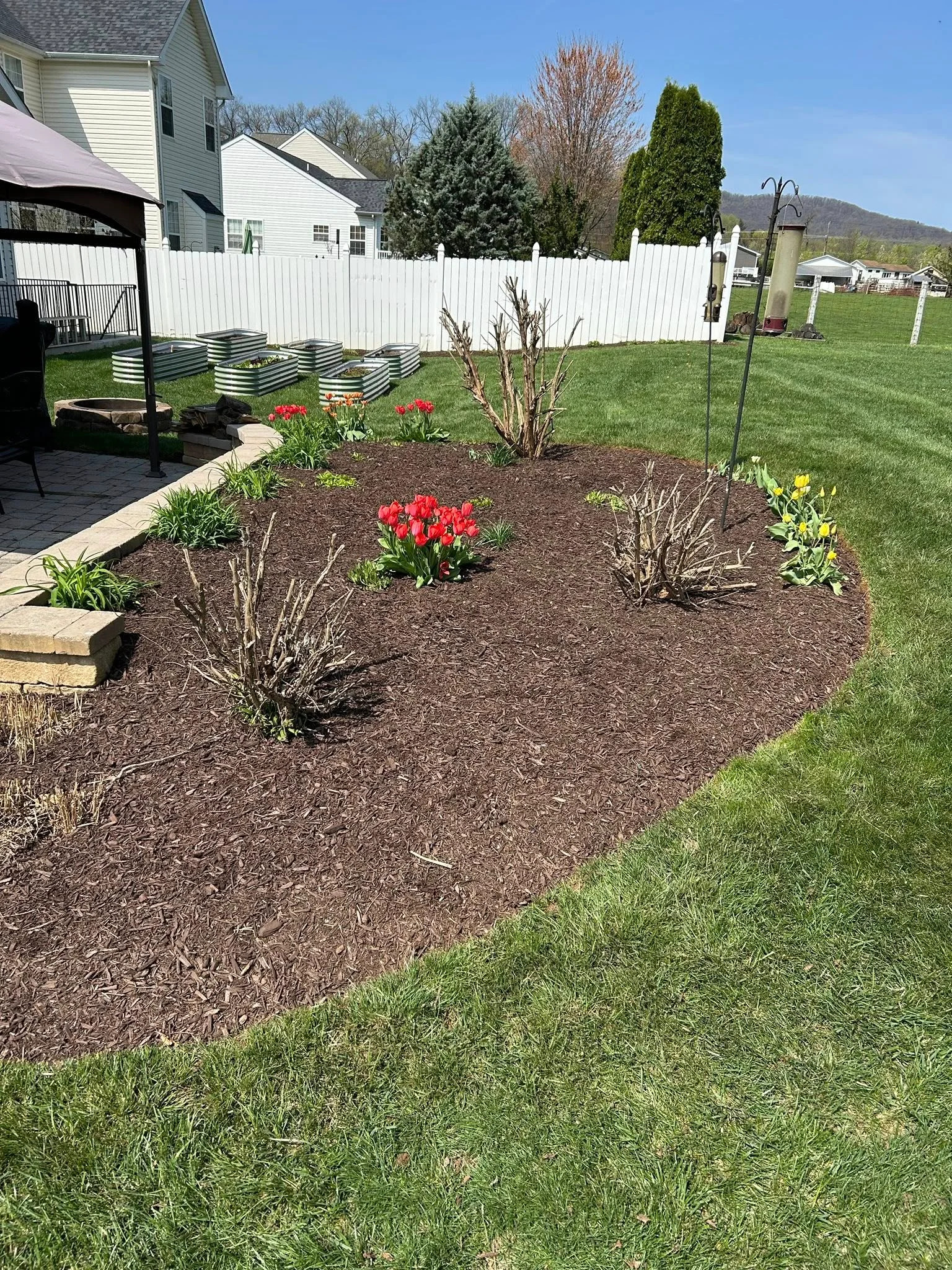 Mulched flower bed with red tulips, ornamental shrubs, and stone edging bordering manicured lawn