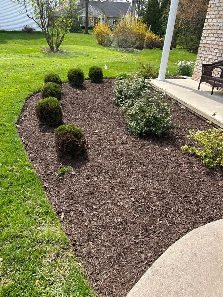 Dark mulch bed with boxwood shrubs and evergreen plantings along patio edge