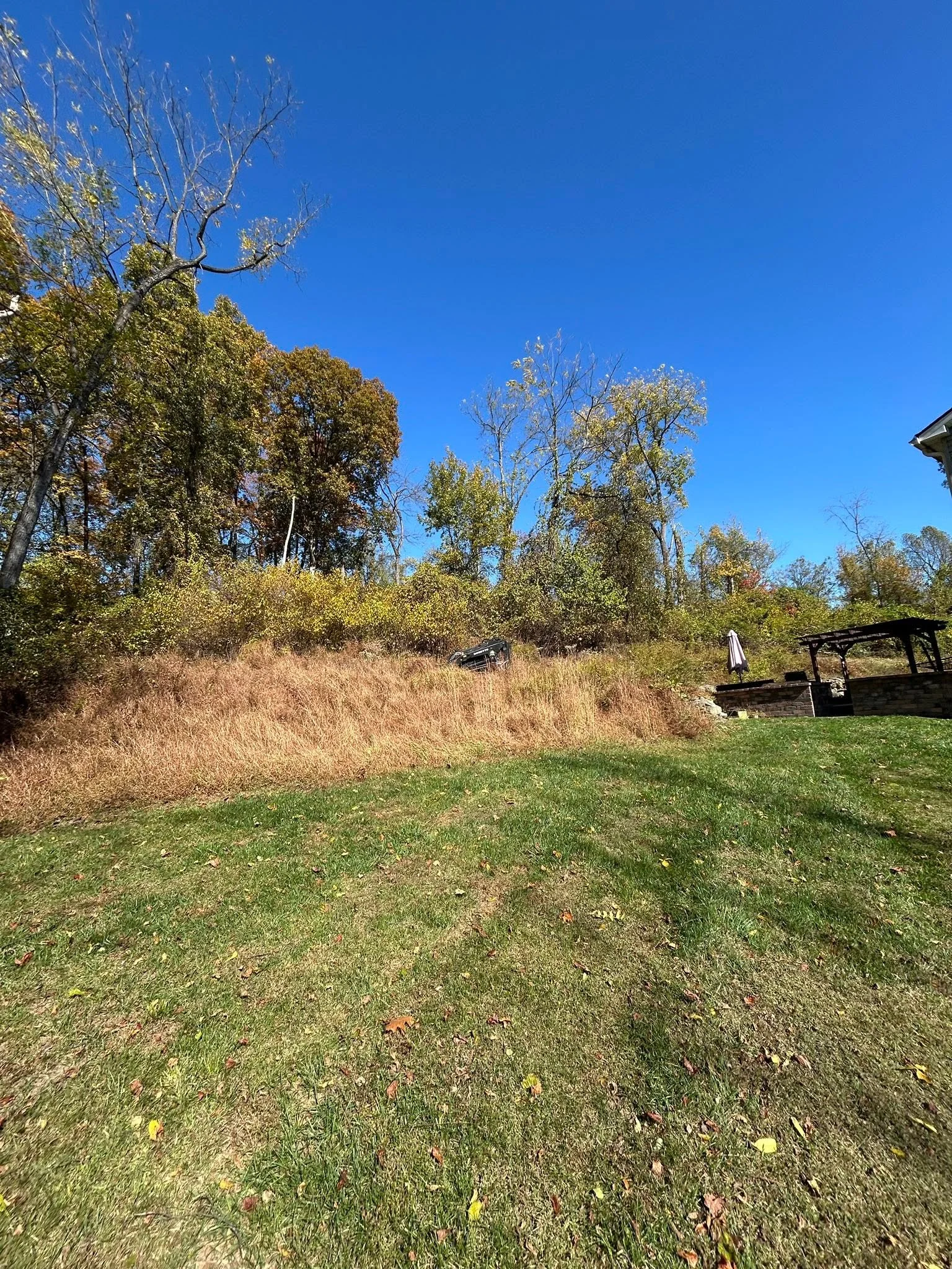 Cleared residential lot with restored lawn, mature trees, and brush removal on sloped terrain