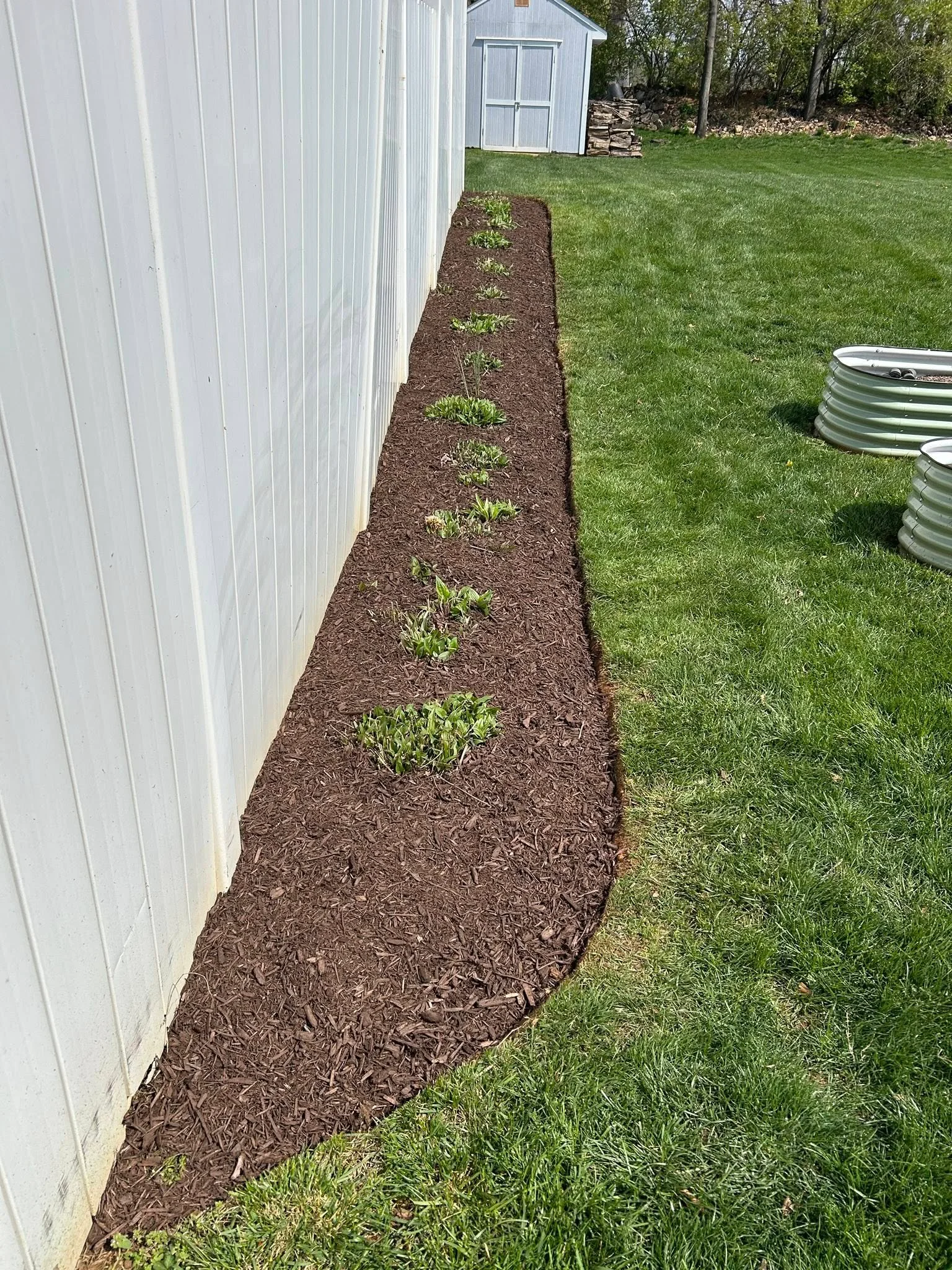 Dark mulch planting bed with young shrubs along white metal shed foundation