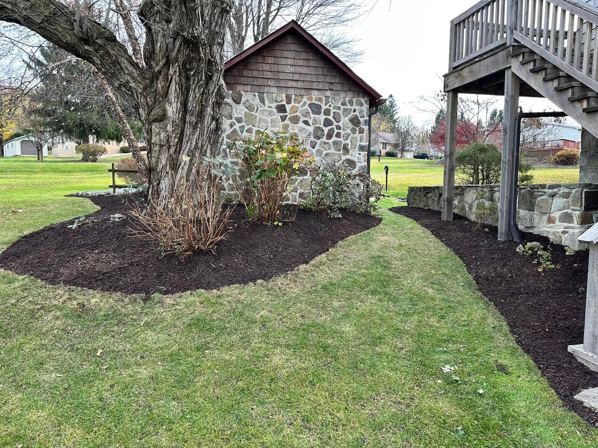 Black mulch beds around stone building and trees with freshly seeded lawn and wooden deck