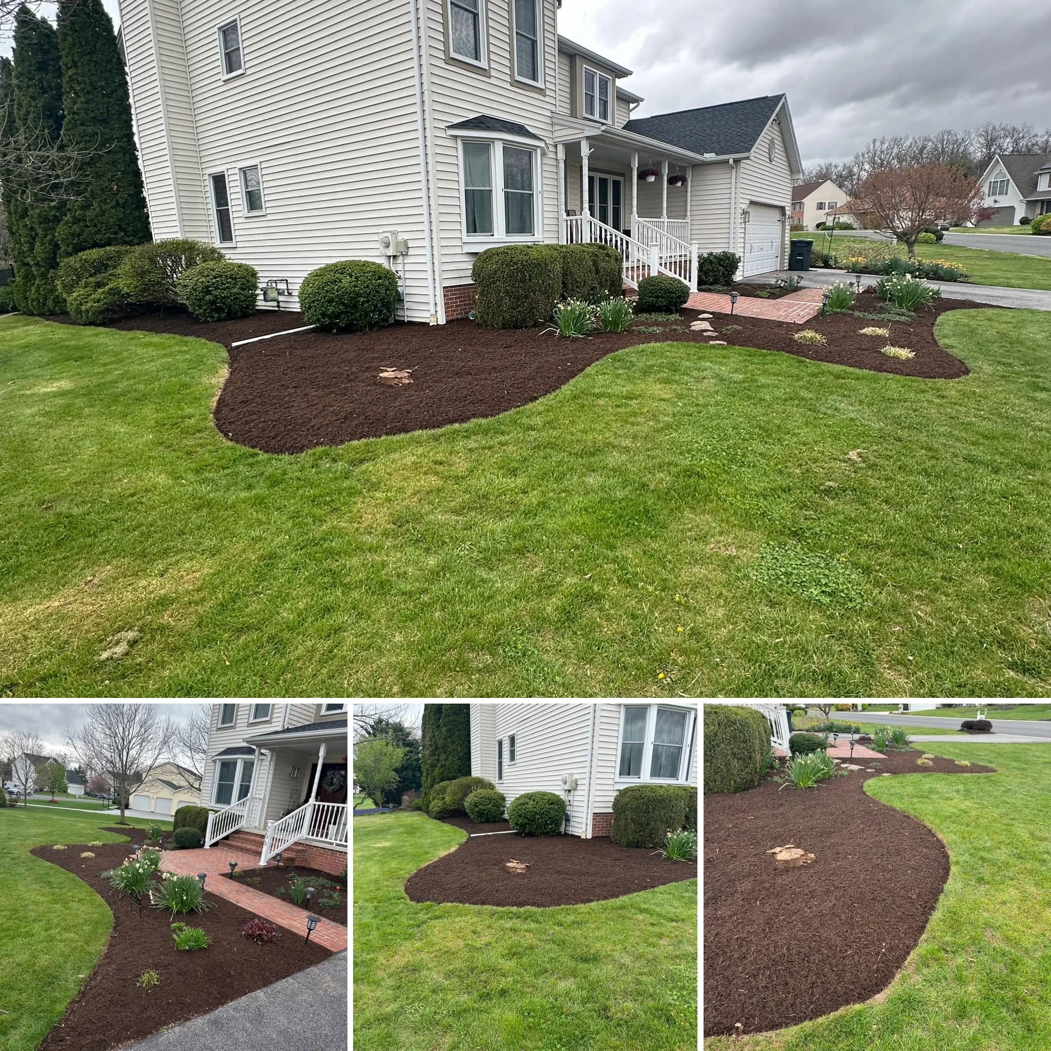 Dark mulch landscape beds with boxwood shrubs, brick edging, and foundation plantings in front yard