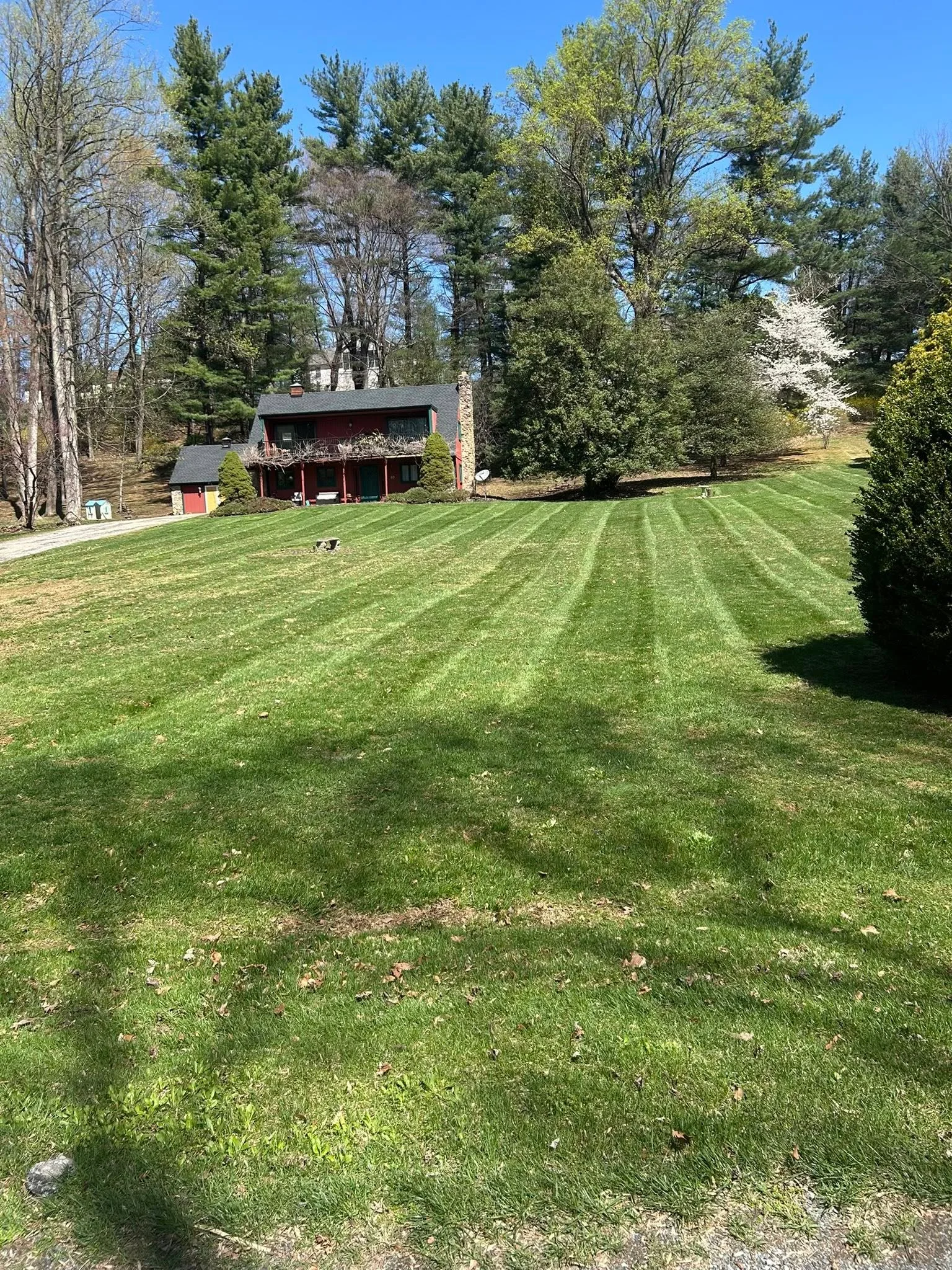 Striped lawn mowing pattern on residential property with mature trees and colonial home