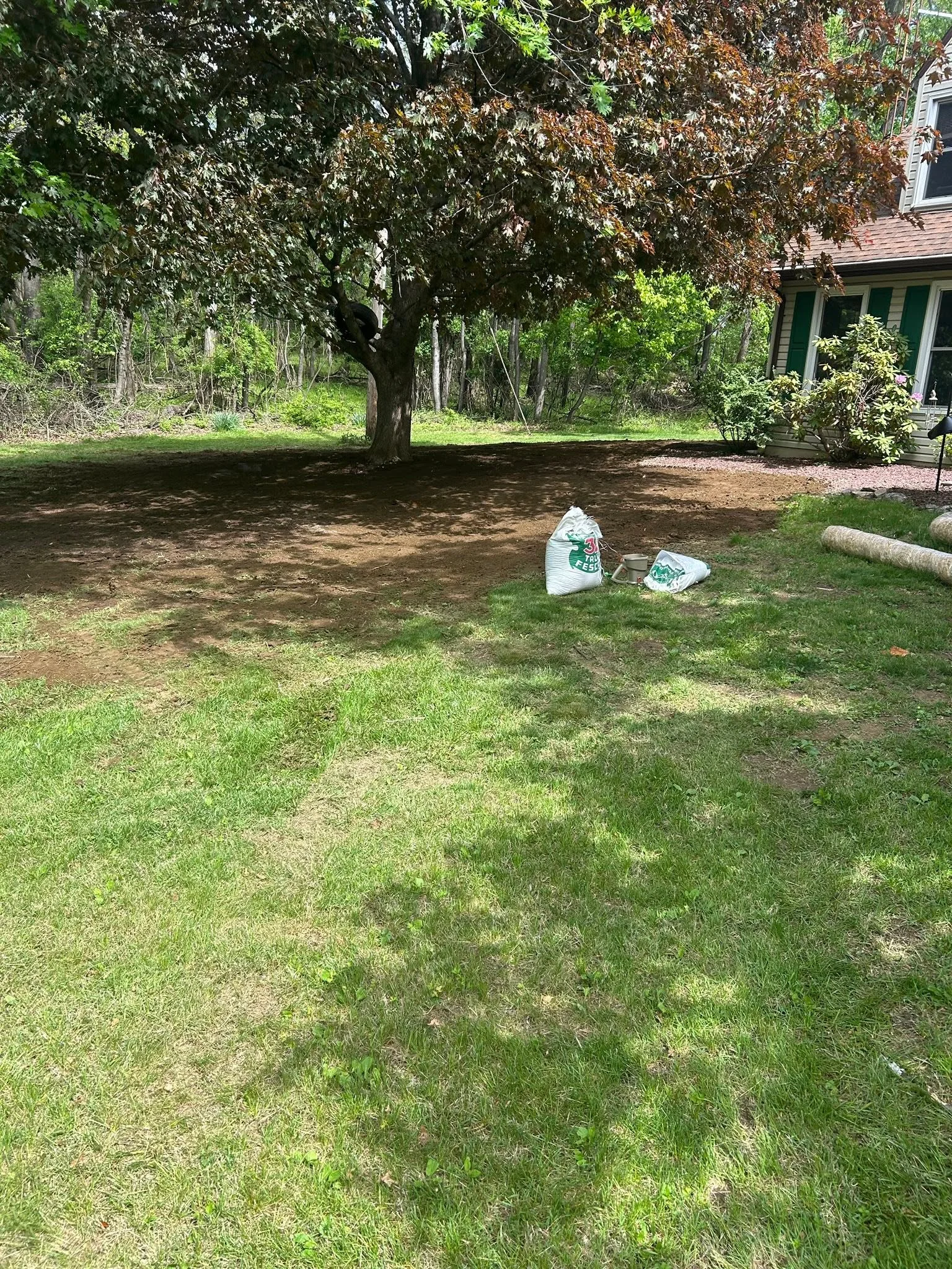Residential lawn with aeration and seeding treatment, mature trees, and landscaping