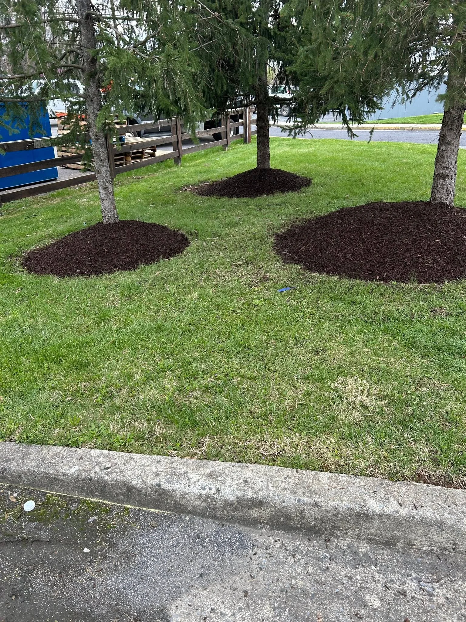Dark mulch beds installed around trees on manicured lawn with waterfront view
