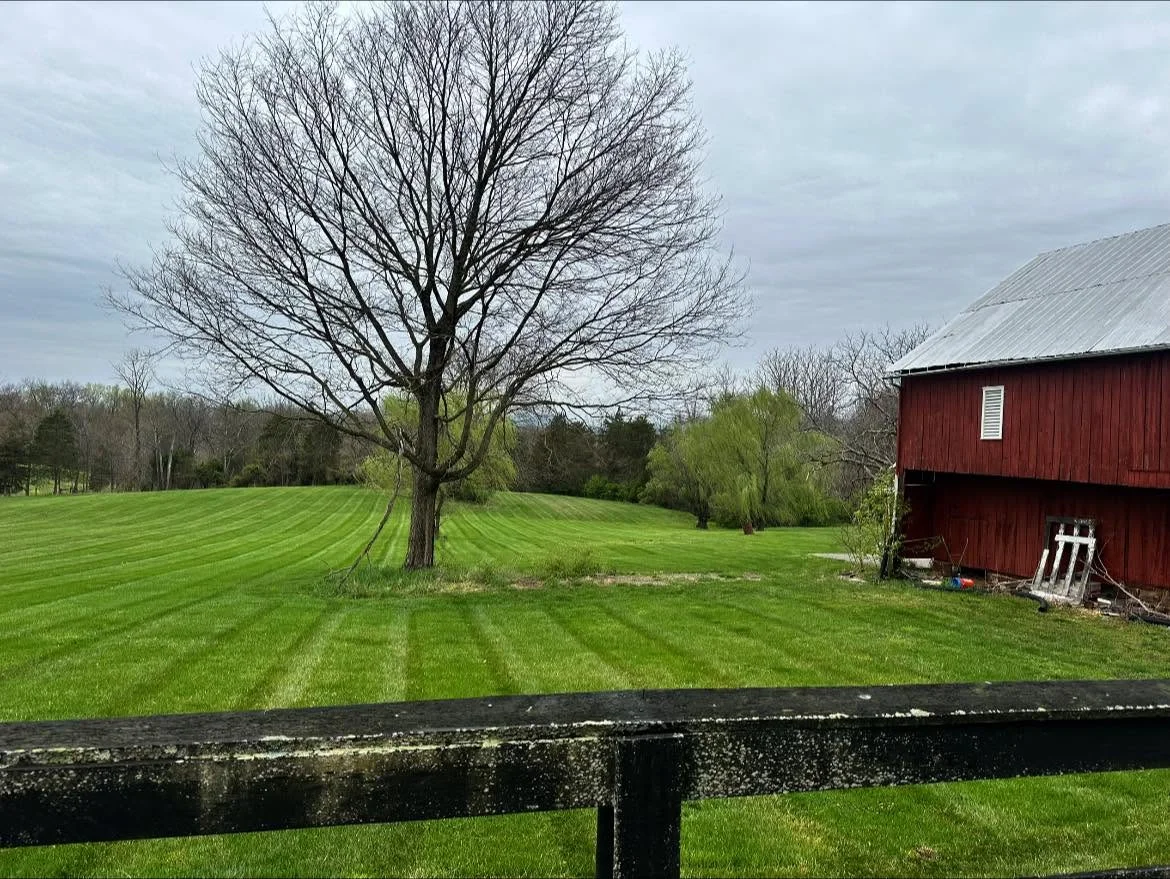Striped lawn mowing pattern on residential property with red barn and mature trees