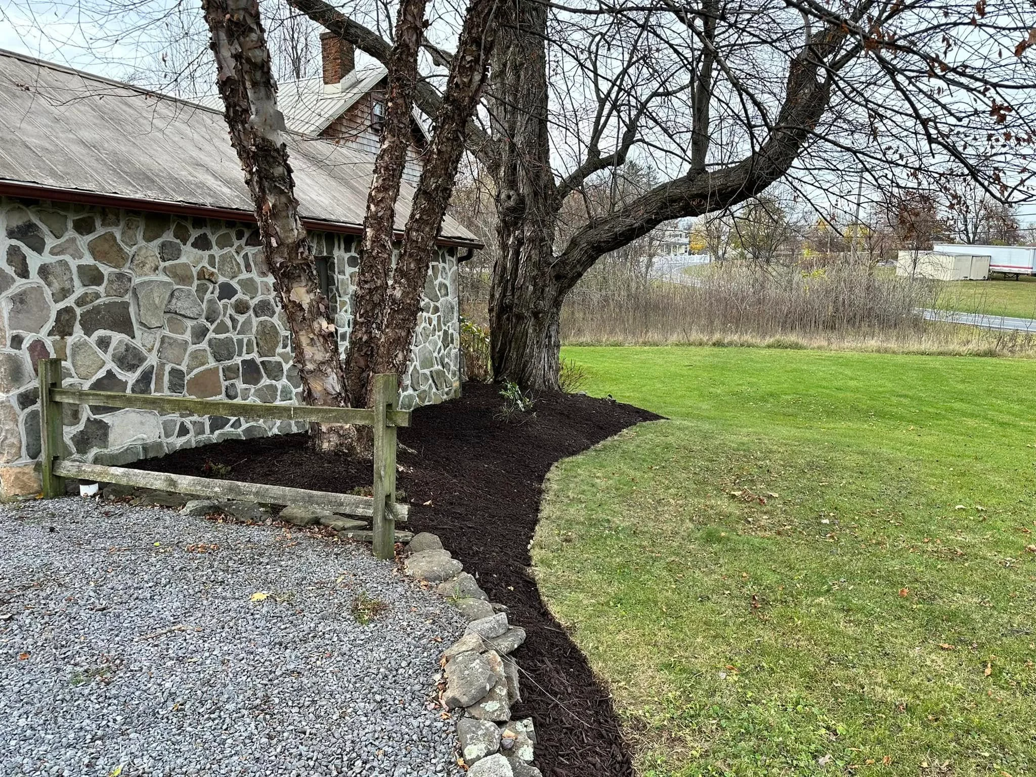 Dark mulch bed installation around large trees with wooden edging and gravel pathway