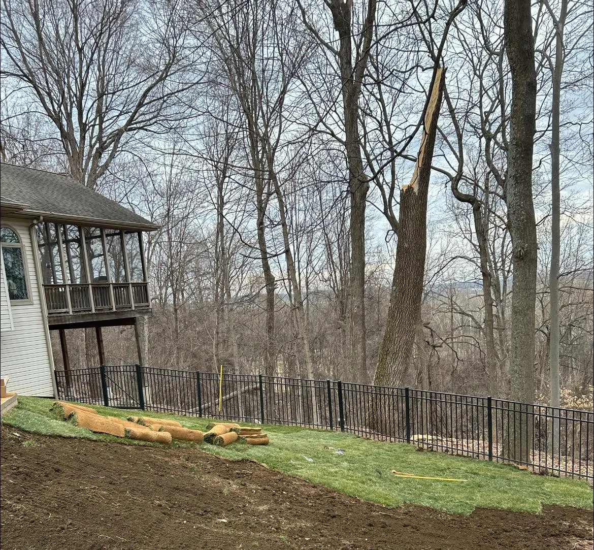 Newly sodded hillside lawn with black metal railing installation along slope