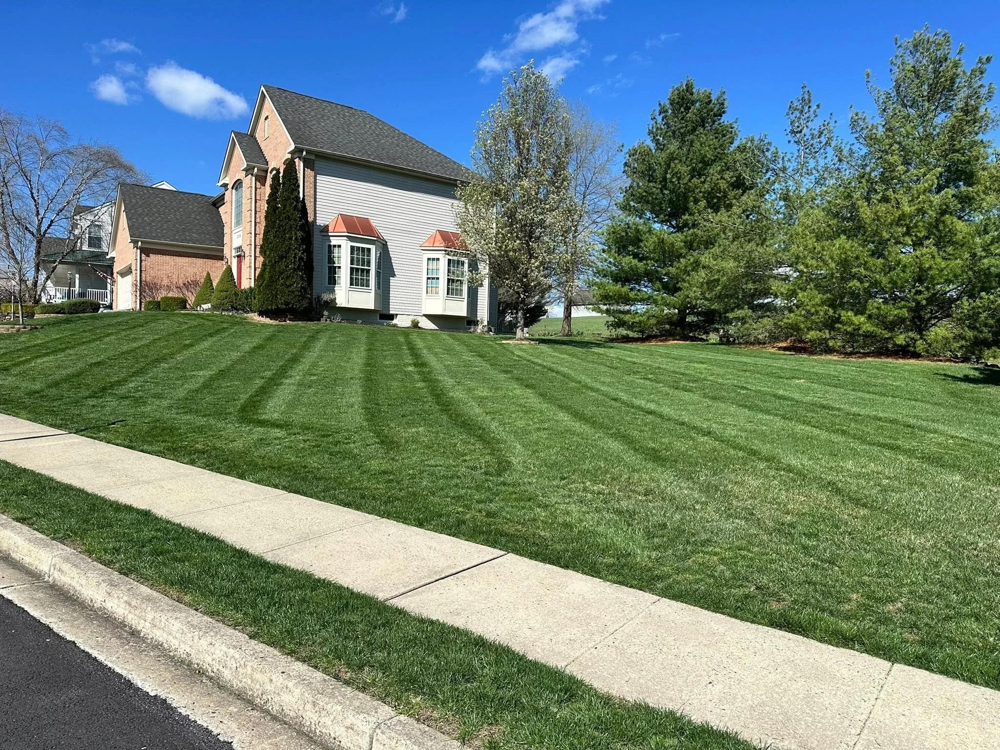 Striped lawn with mulched beds, mature trees, and concrete walkway edging around residential home
