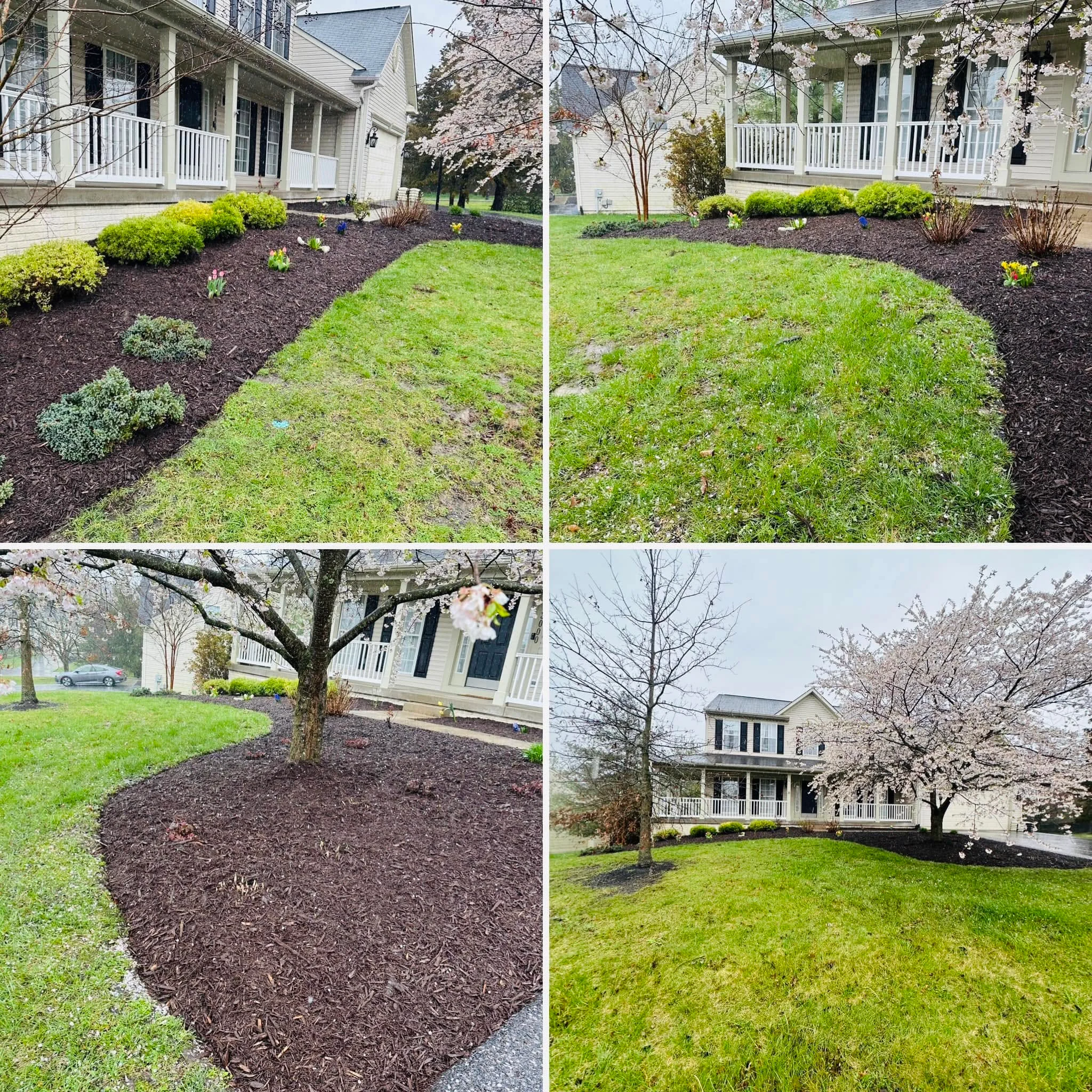 Front lawn with dark mulch beds, ornamental shrubs, and healthy green grass around residential home